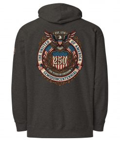 Alternative view of USA 250th Semiquincentennial Vintage Emblem Hoodie