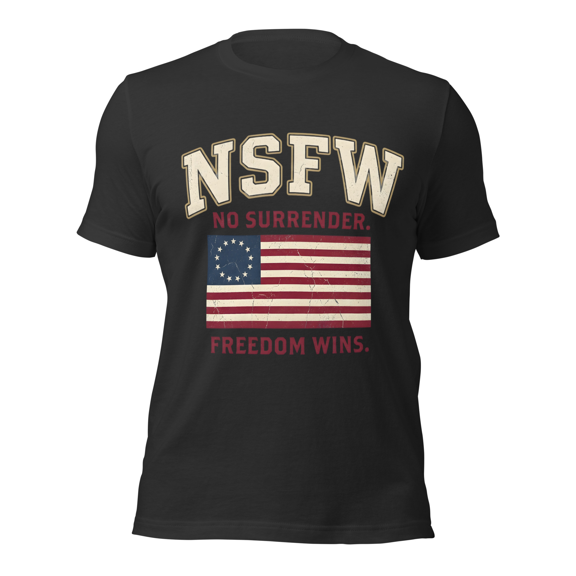 Funny NSFW Acronym Adult T-Shirt